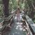 Julie Cattin's profile image
