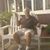 Bob Asaf's profile image