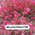 Alice Roy Wilbeck's profile image