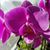 Kim Howland-Popko's profile image