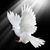 Mike Makinde's profile image