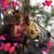 Emily Collins's profile image