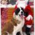 Melissa Eric Stockfelt Wickboldt's profile image