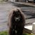 Candie Jones Stockton's profile image