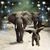 Sue Steich's profile image