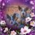PiNa HawKins's profile image