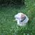 Tammy Snyder's profile image