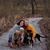 Lindsey Ruchti's profile image