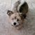 Jackie Caton's profile image