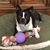 Kimberly Kindell's profile image