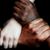 Rebecca Sibbet Dierdorff's profile image