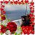 Michelle Koker's profile image