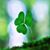 Jennifer Whalen-Wood's profile image