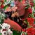 Yolanda Calixto's profile image