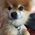Paulette Steady-Holbritter's profile image