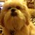 Jackie Cottonham-Giles's profile image