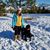 Linda Givler's profile image