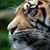 Susana Pose Garcia's profile image