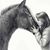 Kimberley Bates's profile image