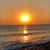 Paulette Dorris's profile image