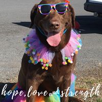 Vicki Lutz's profile image