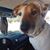 Devon Bailey Osborn's profile image