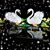 Catherine Rhyne Zayatz's profile image