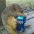 Cesar Medrano's profile image