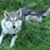David Bavis's profile image