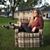 Lexi Bunce's profile image