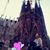 Laura Moraless's profile image