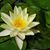 Lyn Robson's profile image