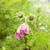 Wendy Mortimer's profile image