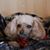 Rita Clarke's profile image