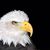 Rick Swain's profile image