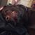 Nick Dorcy's profile image