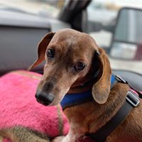 Lori Anderson's profile image