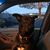 Dixie Love's profile image
