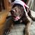 Kristin Green-fauth's profile image