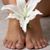 Gail Black's profile image