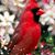 Mimi Habetler's profile image