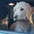 Flo VanSlyke's profile image