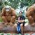 Venky Anand's profile image
