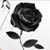 Argie Solitaria's profile image