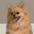 Michele Stephan Flaherty's profile image