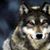 Stephanie Kloenne's profile image