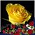 Nancy Forbes Tyner's profile image