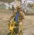 Brandon James McGovern's profile image