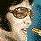 Danny Pasatiempo's profile image