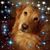 Vicki Mitchell's profile image